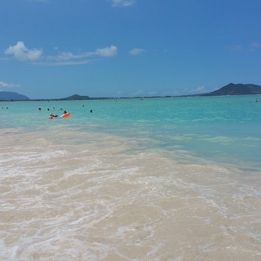 cropped-20150722_083600-1.jpg